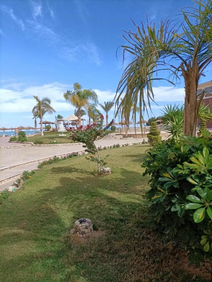Tony'S Privy Beds By Red Sea Apartment Hurghada Ngoại thất bức ảnh