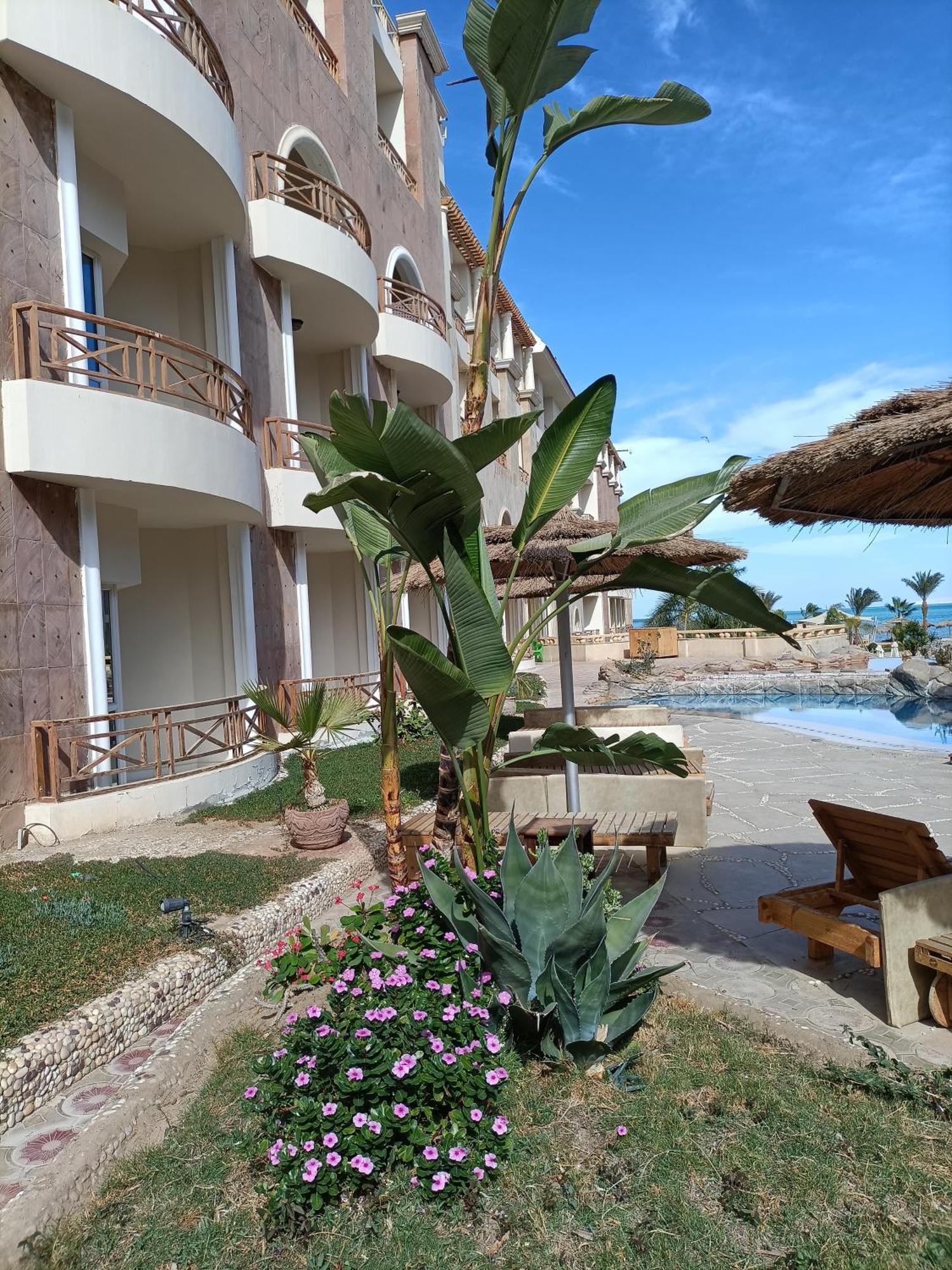 Tony'S Privy Beds By Red Sea Apartment Hurghada Ngoại thất bức ảnh
